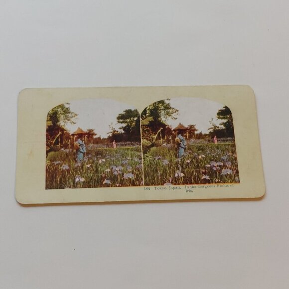 ANTIQUE STEREOGRAPH Card DOUBLE SIDED Tokyo Japan Tiffin House Isl of Java - Picture 3 of 5
